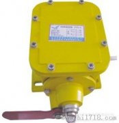 縱向撕裂開(kāi)關(guān)YHZL-I、YHZL-IIBZL-220B防爆縱向撕裂保護(hù)裝置